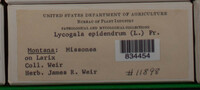 Image Associated With the Occurence